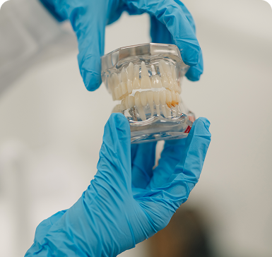 Two hands in blue gloves hold a dental model with realistic teeth, set against a blurred background, conveying a clinical, educational setting.
